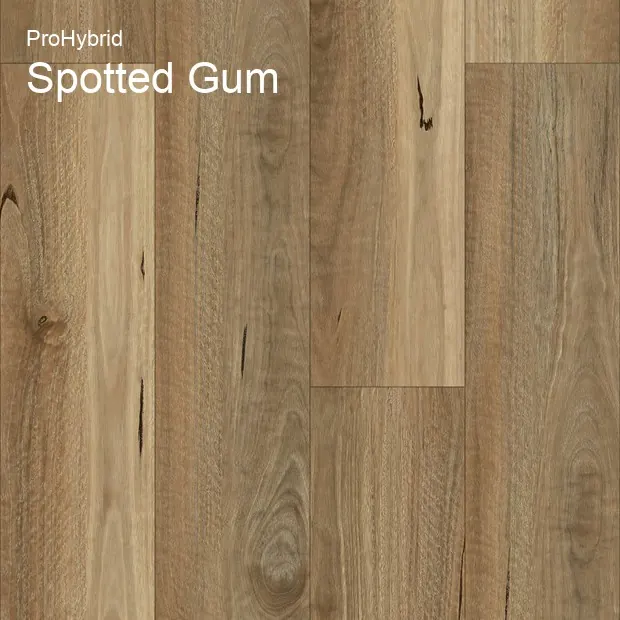 Spotted Gum SPC Hybrid
